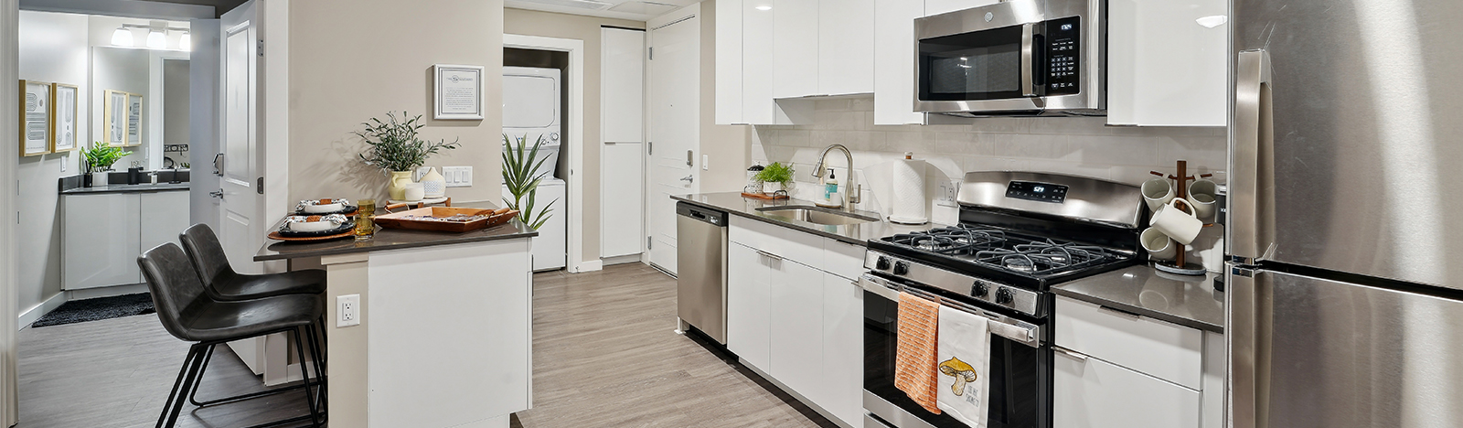 Furnished apartment living space